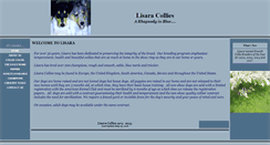 Desktop Screenshot of lisara.com